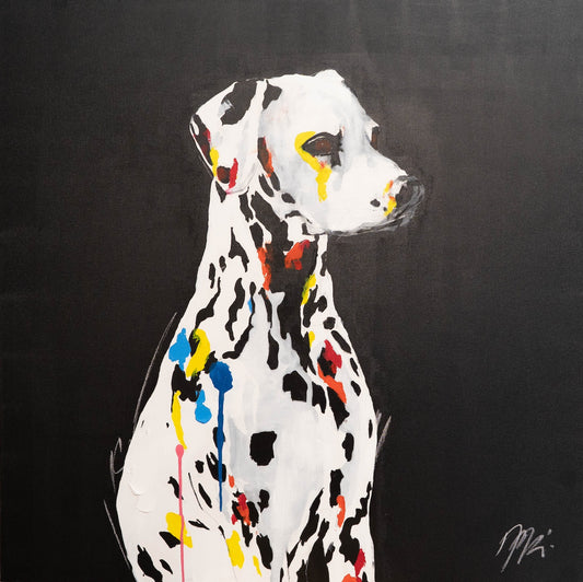 Animal collection Dalmatian!