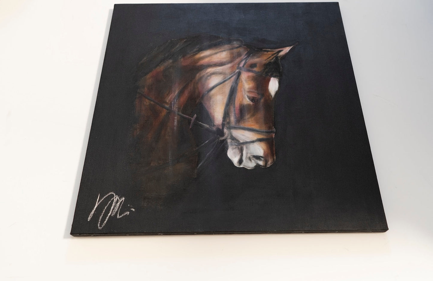 Horse contemporary painting art