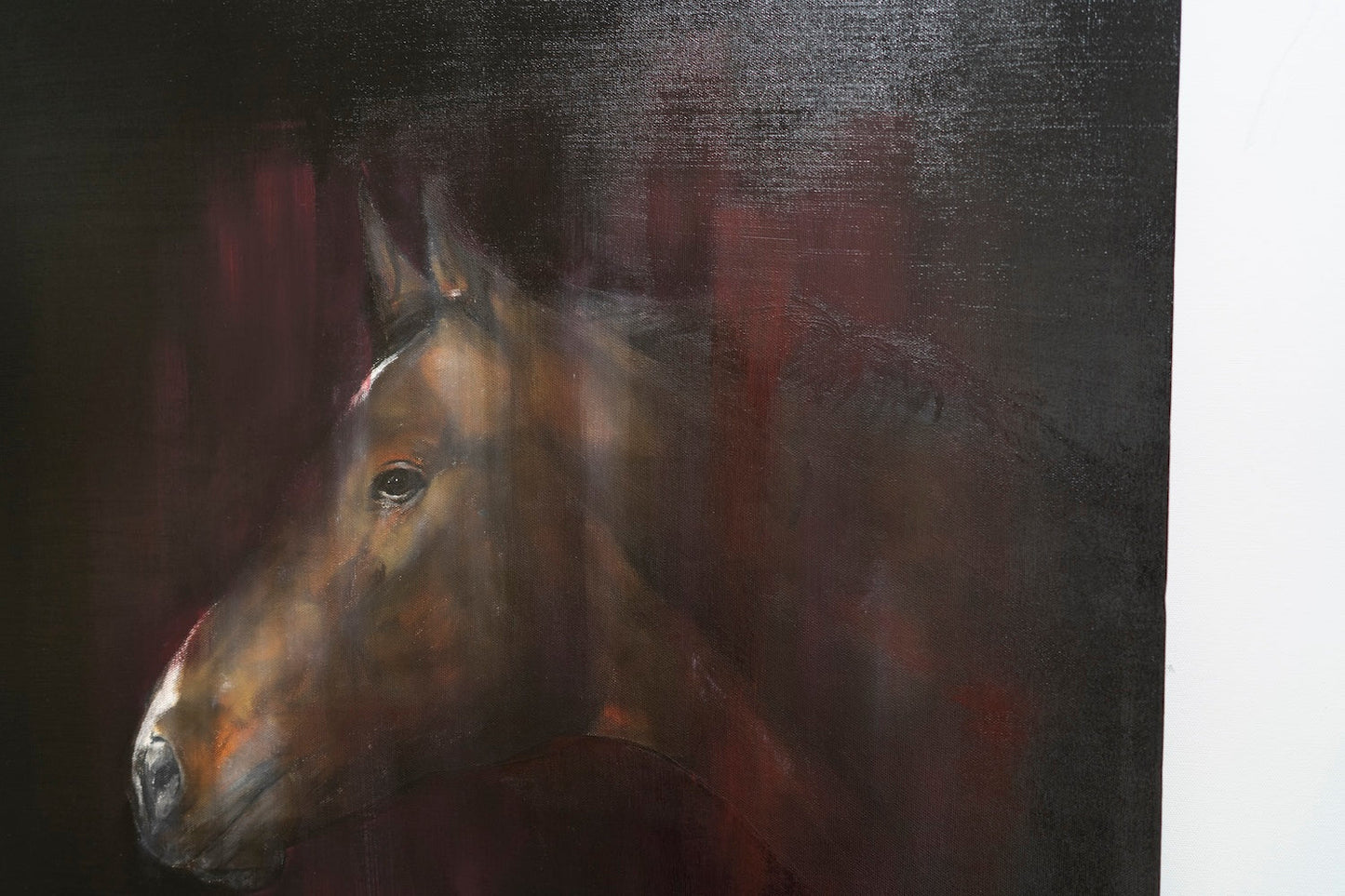 Horse contemporary painting art