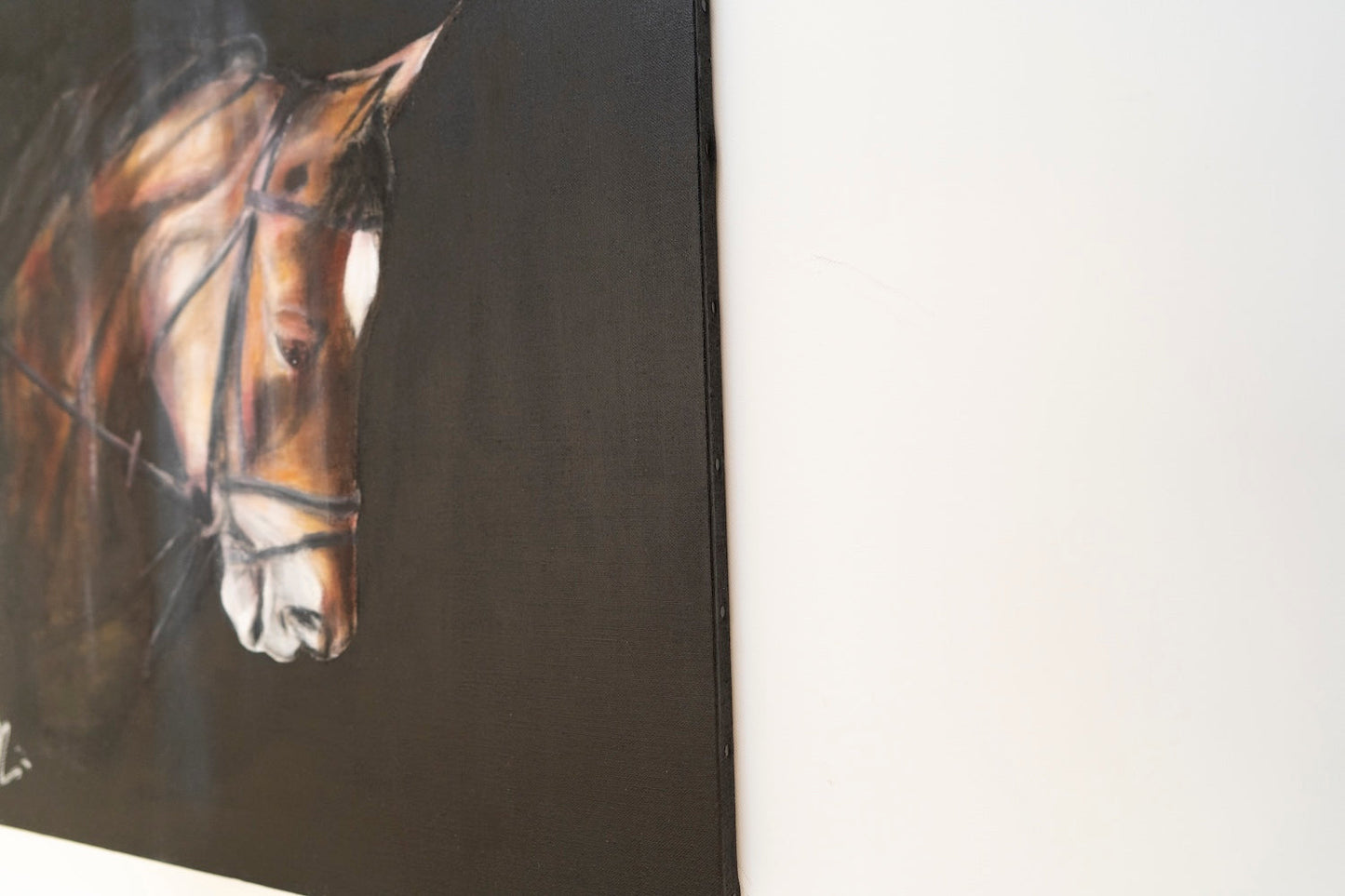 Horse contemporary painting art