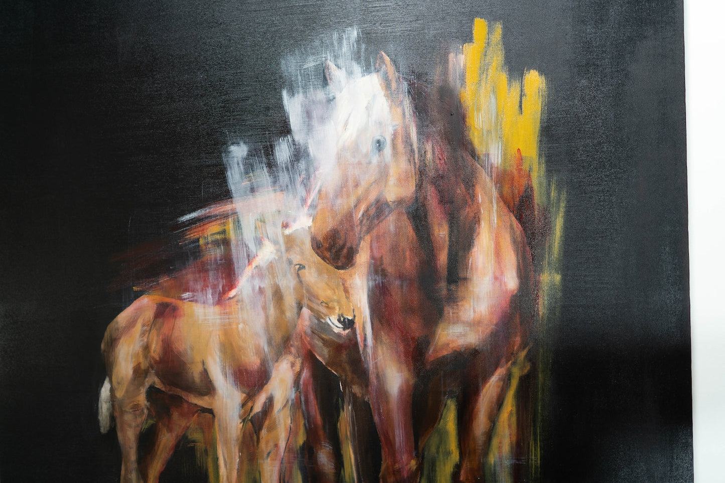 Horse contemporary painting art