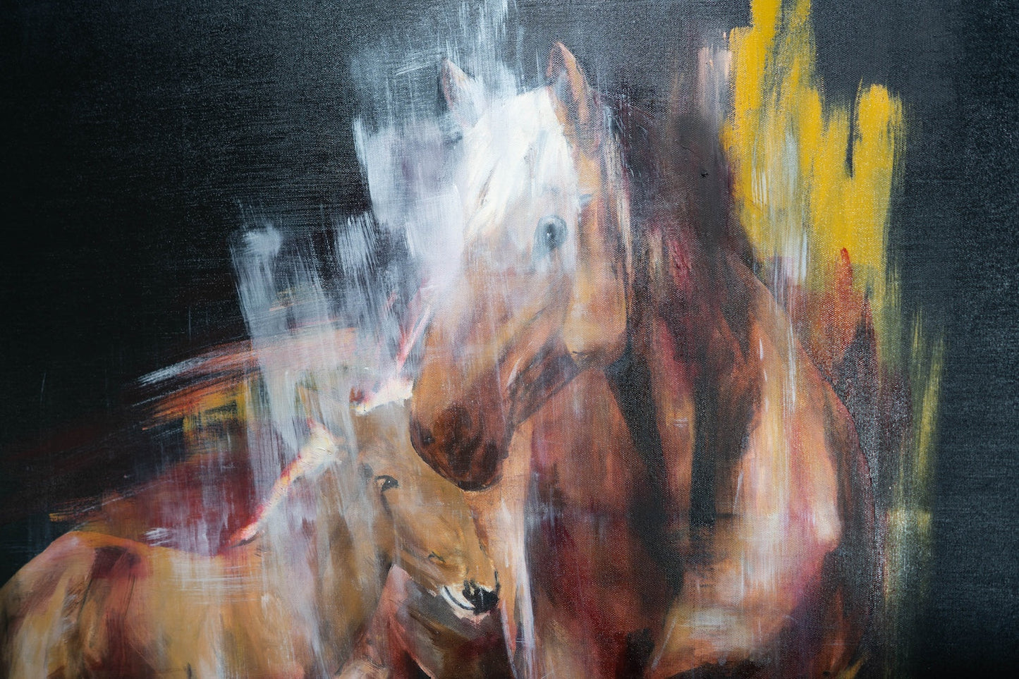 Horse contemporary painting art