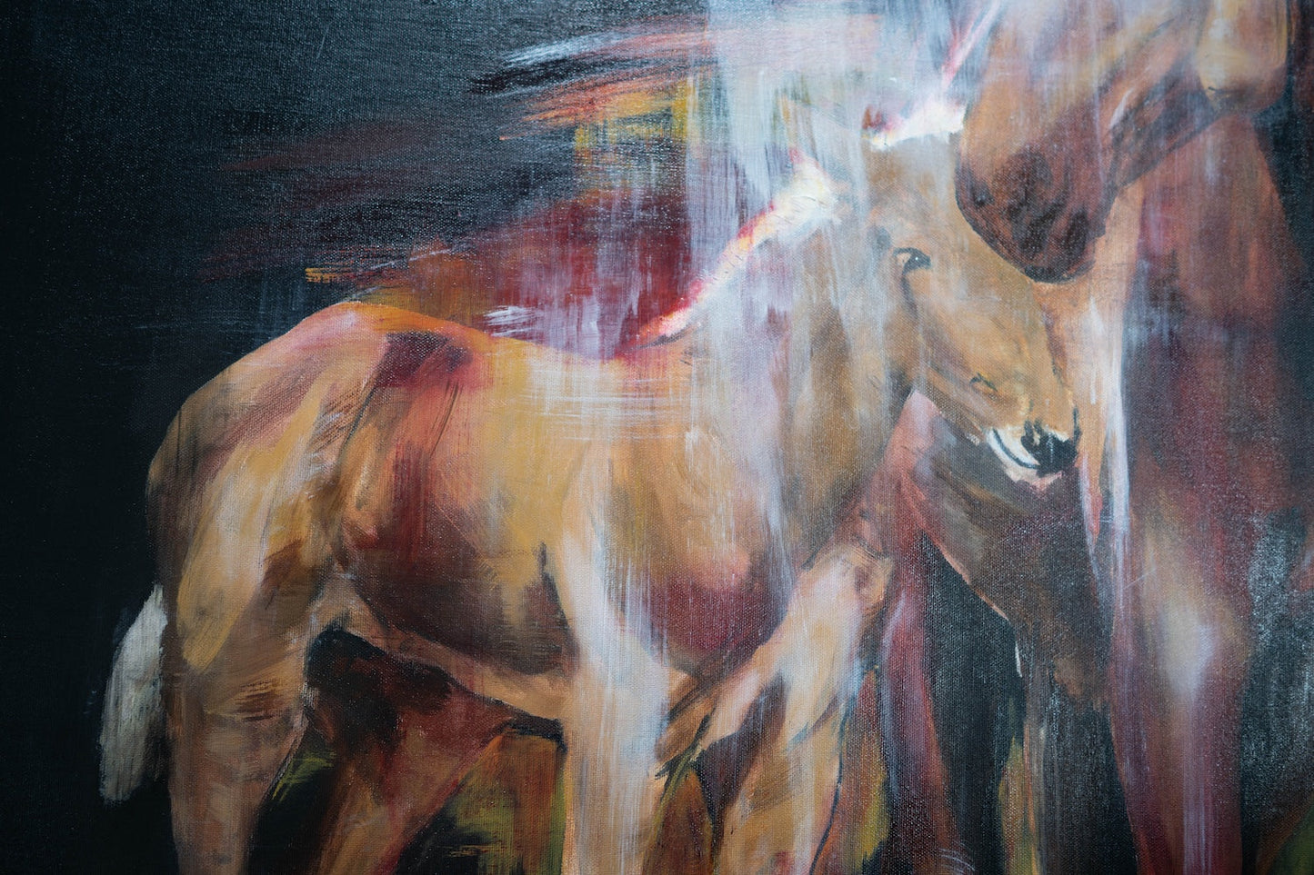 Horse contemporary painting art