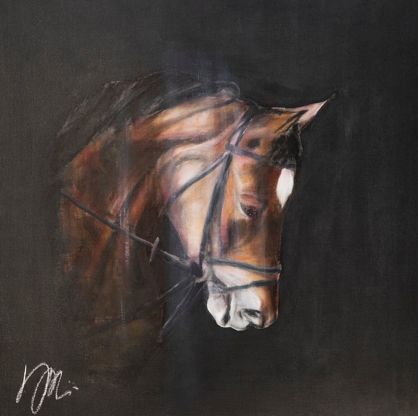 Horse contemporary painting art