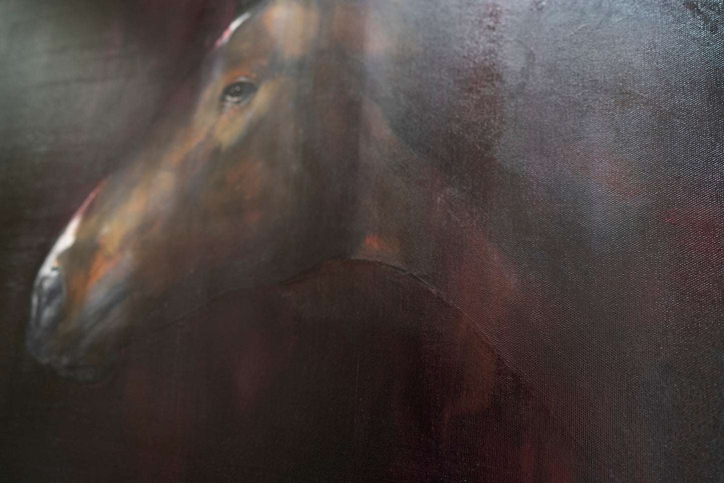 Horse contemporary painting art