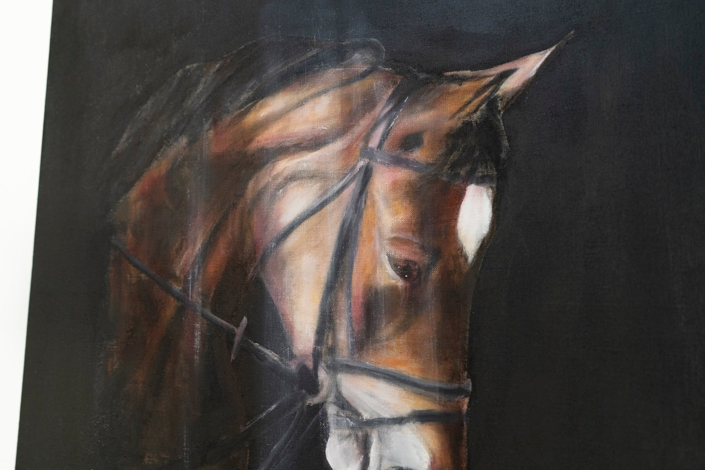 Horse contemporary painting art