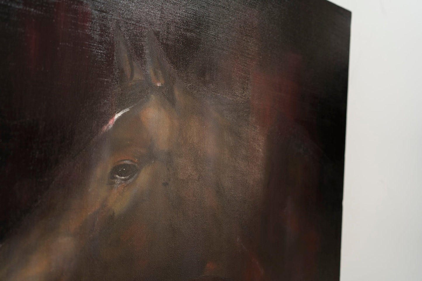 Horse contemporary painting art