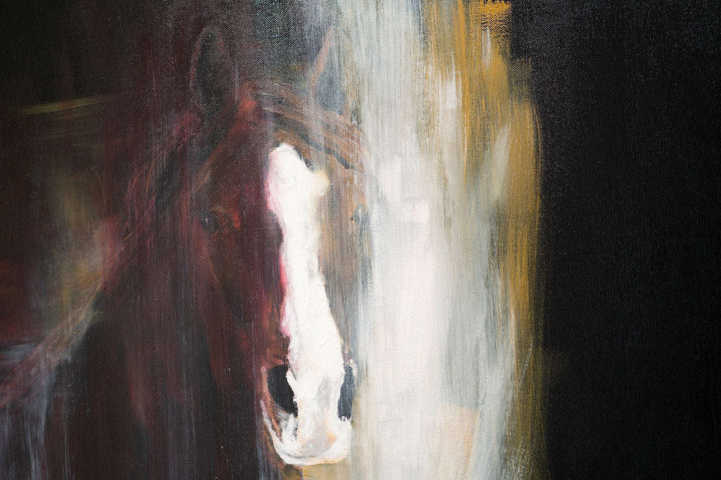 Horse contemporary painting art