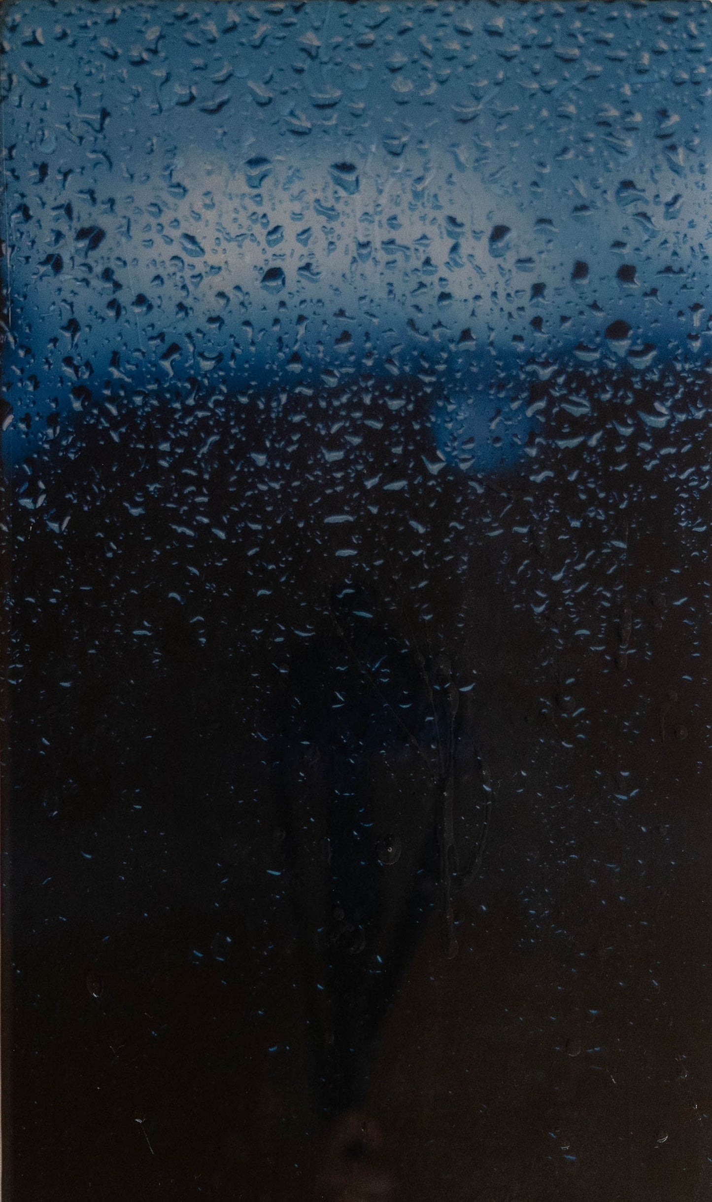 The Rain contemporary painting art
