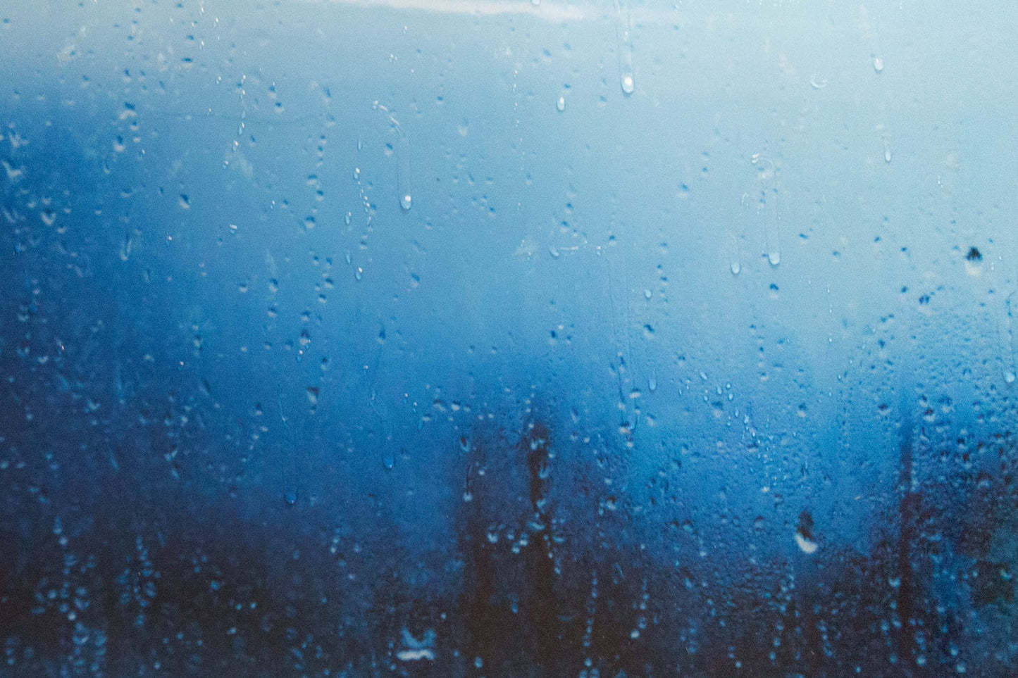 The Rain contemporary painting art
