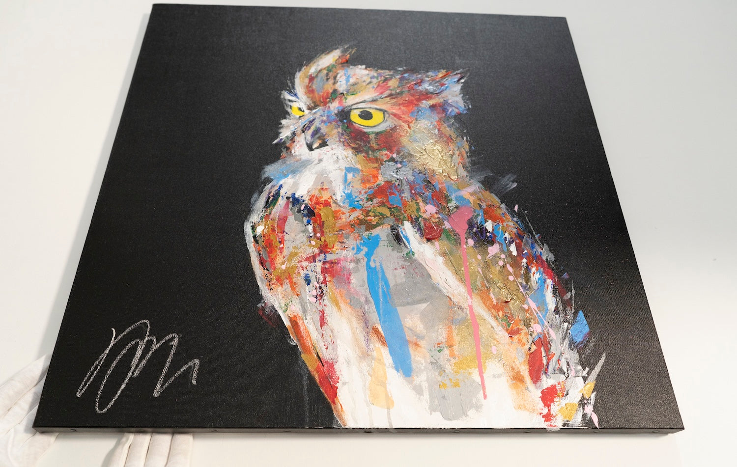 owl   contemporary painting art