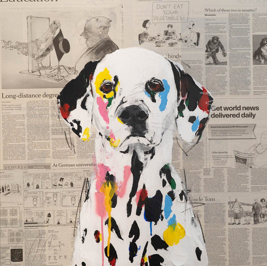 Dalmatian