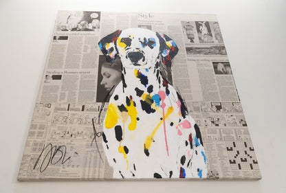 Dalmatian