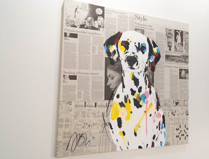 Dalmatian