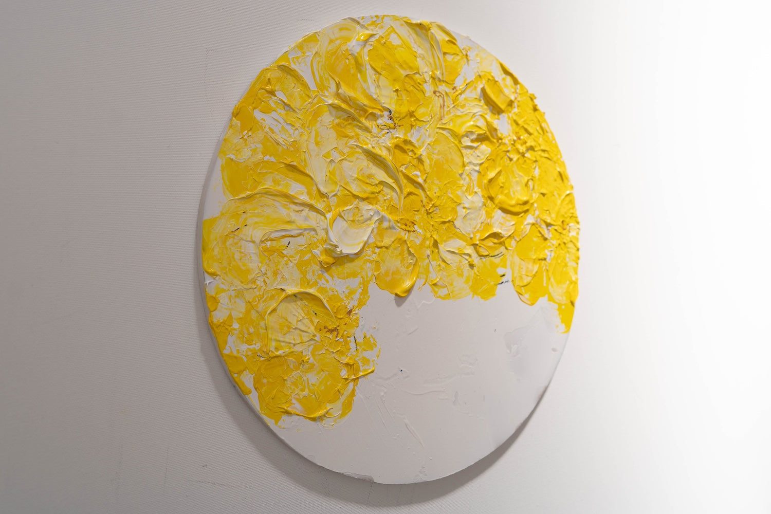 Flowers contemporary painting art