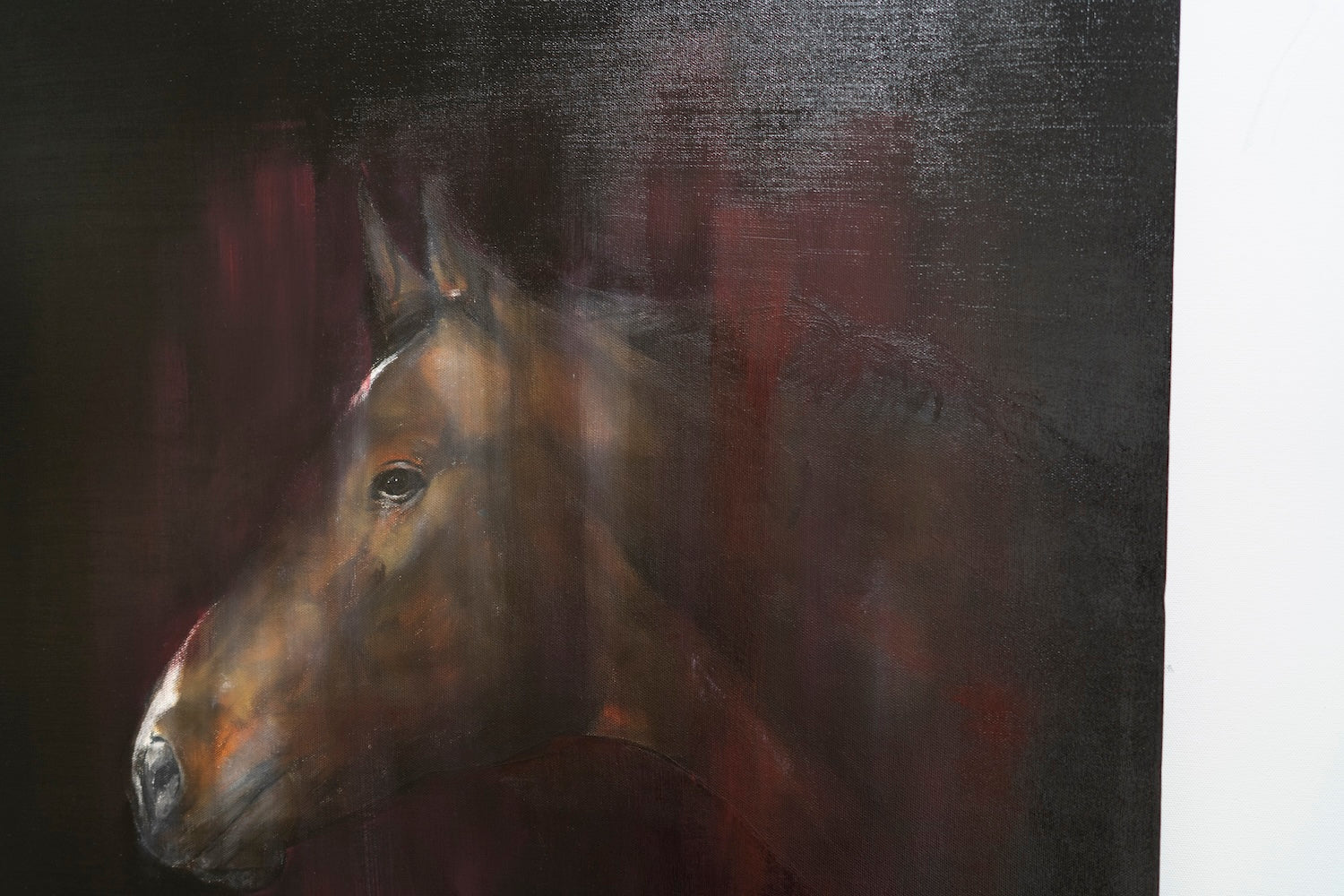 Horse contemporary painting art