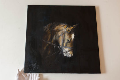 Horse contemporary painting art