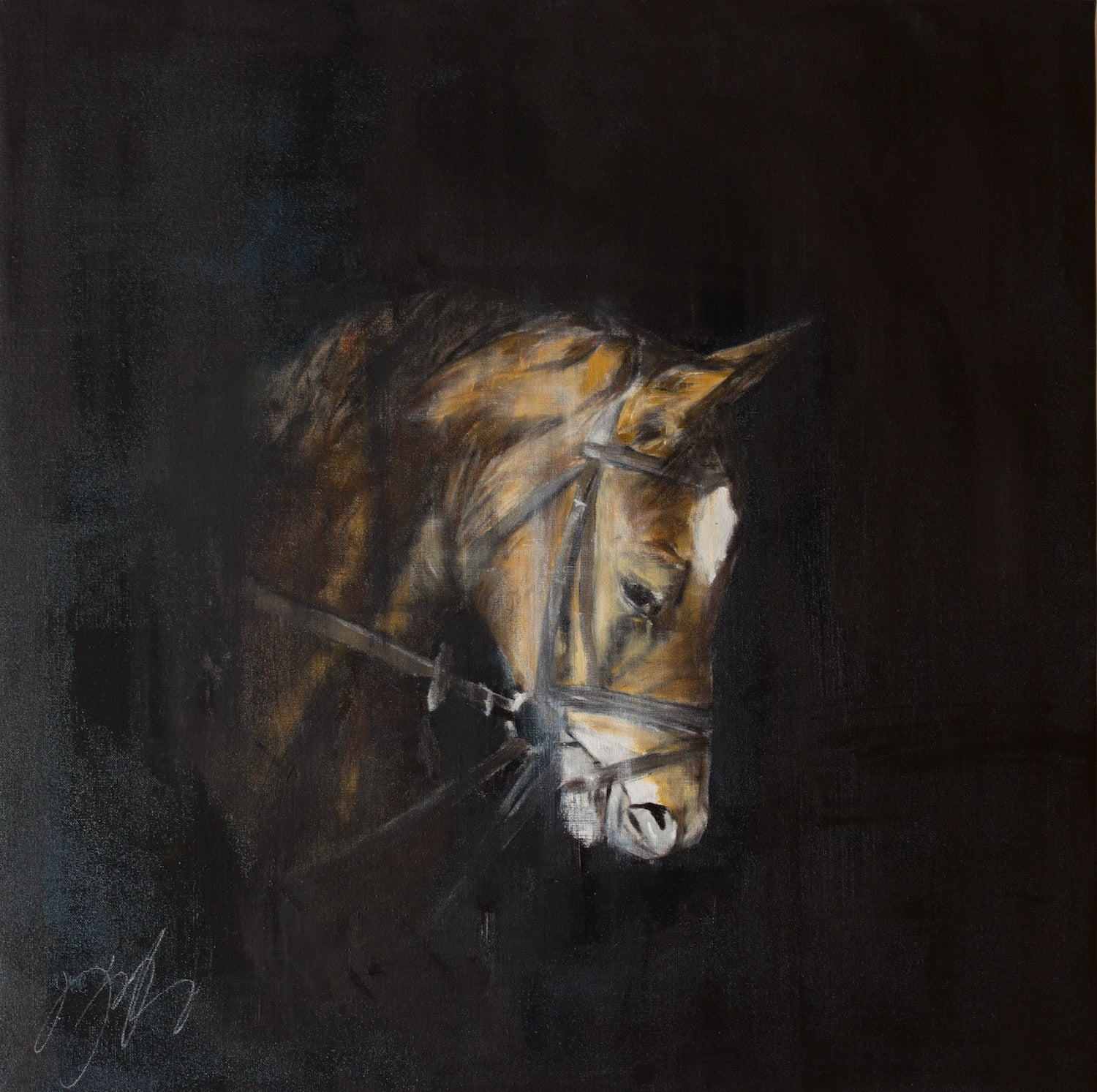 Horse contemporary painting art