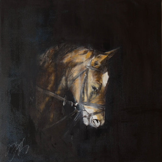 Horse contemporary painting art