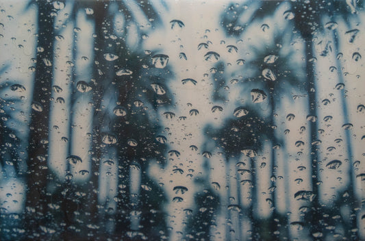 Los Angeles contemporary painting art