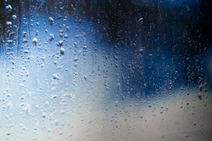 The Rain contemporary painting art
