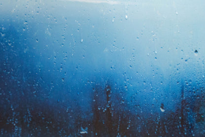 The Rain contemporary painting art